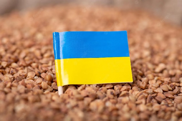 Изменения в правилах КМ № 172 «Правила об информации, которая необходима для обеспечения оказания поддержки гражданскому населению Украины»